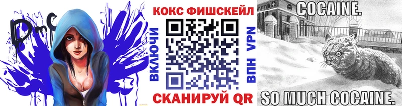 закладка  площадка как зайти  КОКАИН VHQ  Жиздра 