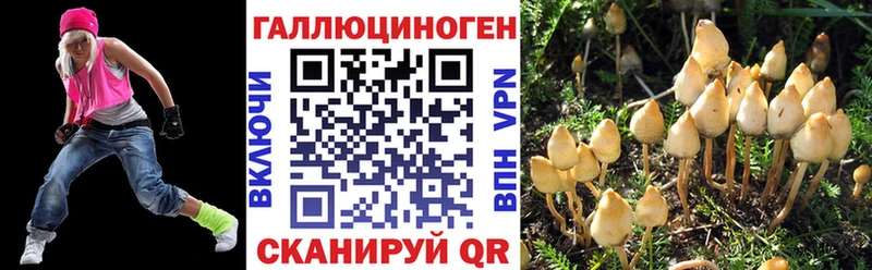 Галлюциногенные грибы Magic Shrooms наркотики Жиздра